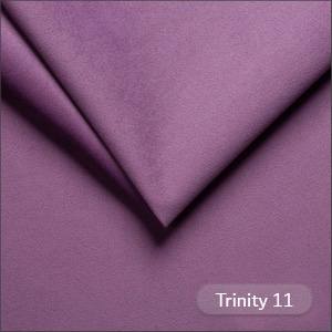 Trinity 11