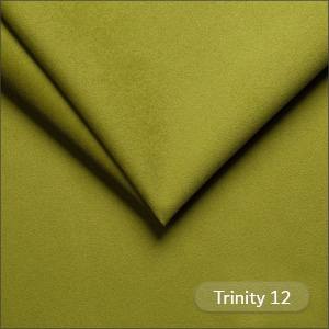 Trinity 12