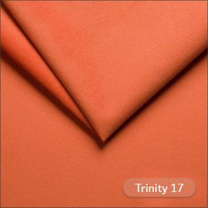 Trinity 17