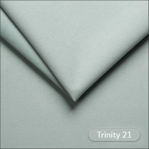 Trinity 21