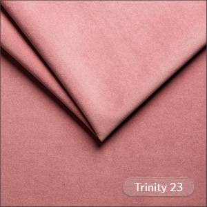 Trinity 23