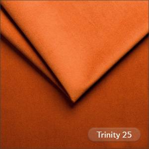 Trinity 25