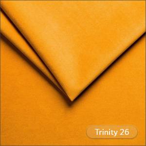 Trinity 26