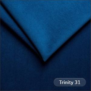 Trinity 31